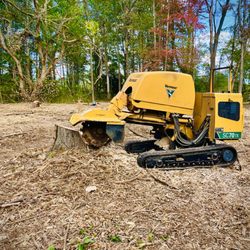 Stumpocalypse - land clearing stumps