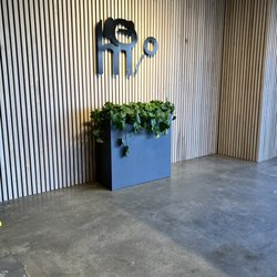 DogMode - Entrance