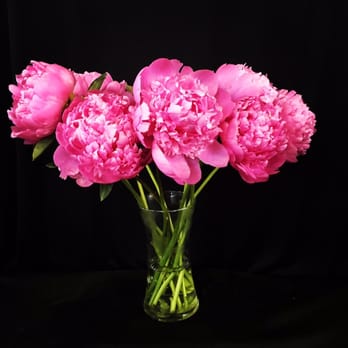 Uptown Flowers - One word, Pionies! - Florists Near Me - San Antonio, Texas