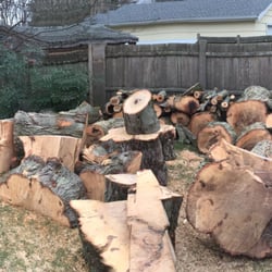 Mike's Tree Service - The backyard mess they left and never returned for