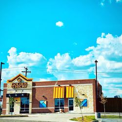 Golden Chick
