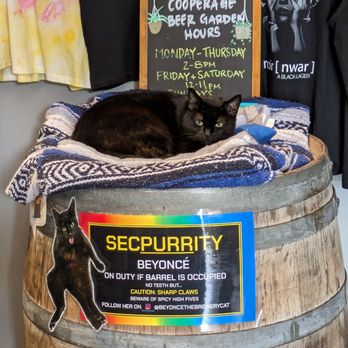 Cooperage Brewing Company - a cat laying on a barrel - Breweries Near Me - Santa Rosa, California