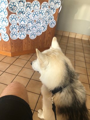 Arizona Avenue Animal Clinic 20 Photos 70 Reviews Veterinarians 7 W Knox Rd Chandler Az Phone Number