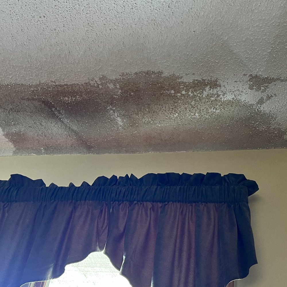 LeafFilter - Ice dam damage from guards icing up immediately and water having no place to go except under the shingles. - Gutter Services Near Me - Eden Prairie, Minnesota