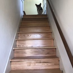 Our corgi Stanley loved Daniel and is impressed by his work! Our corgi Stanley loved Daniel and is impressed by his work!