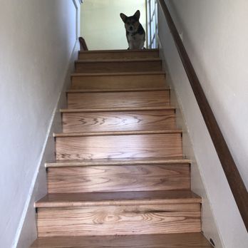 Artisan Wood Floors - Our corgi Stanley loved Daniel and is impressed by his work! - Flooring Near Me - San Leandro, California Artisan Wood Floors - Our corgi Stanley loved Daniel and is impressed by his work! - Flooring Near Me - San Leandro, California