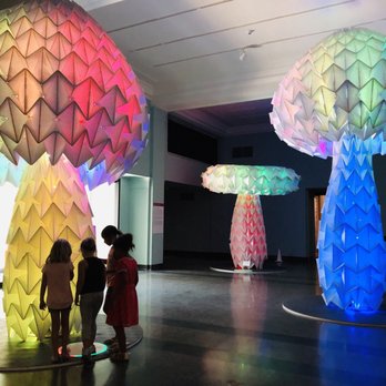 Cincinnati Art Museum - Traveling exhibit - The Art of Burning Man - Art Museums Near Me - Cincinnati, Ohio Cincinnati Art Museum - Traveling exhibit - The Art of Burning Man - Art Museums Near Me - Cincinnati, Ohio