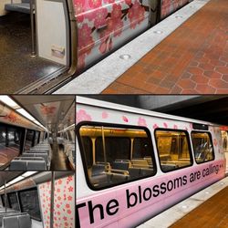 Branch Avenue Metro Station