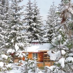 The Yurt at Rivendell - Yurt peeking through snowy branches