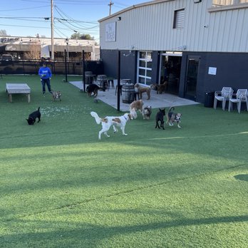 Tucker’s Tap Yard - Dog Parks Near Me - Winston-Salem, North Carolina Tucker’s Tap Yard - Dog Parks Near Me - Winston-Salem, North Carolina