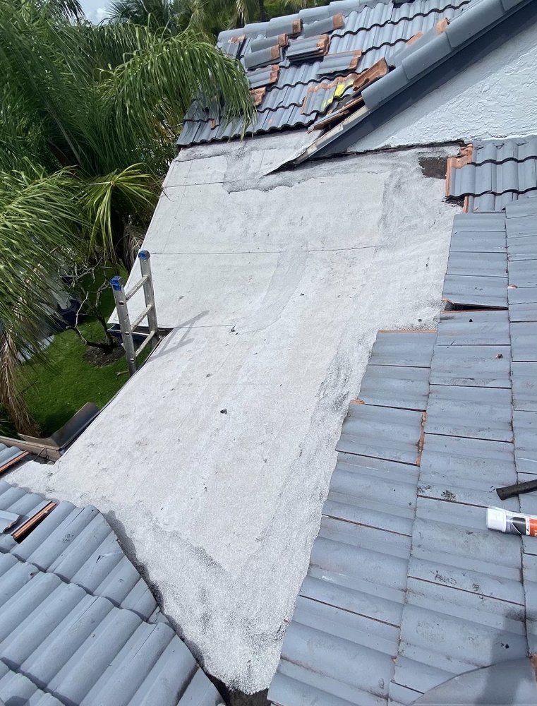 Slide of BL Florida Roofers