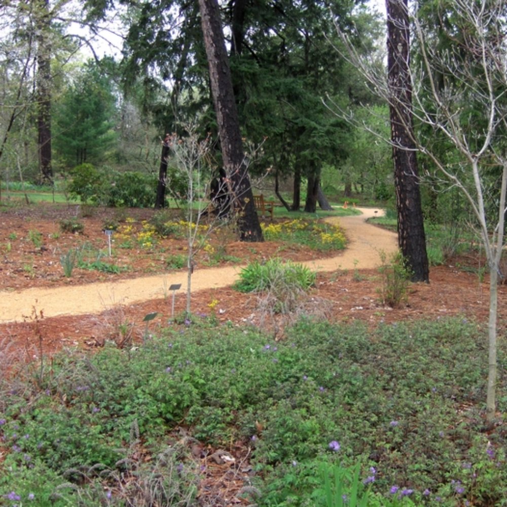 Coker Arboretum - Botanical Gardens Near Me - Chapel Hill, North Carolina