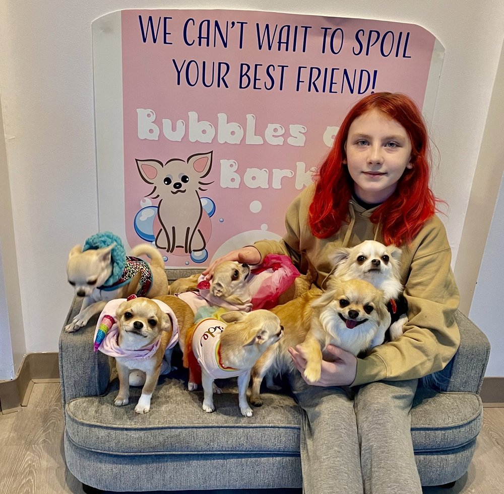 BUBBLES AND BARK Updated July 2024 109 Marketplace Dr, Hampton, Virginia Pet Groomers