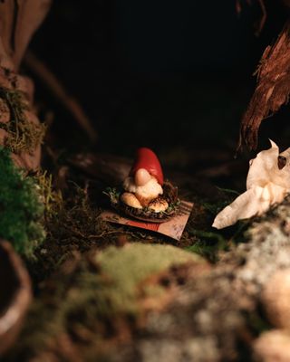 Merchant Roots by null