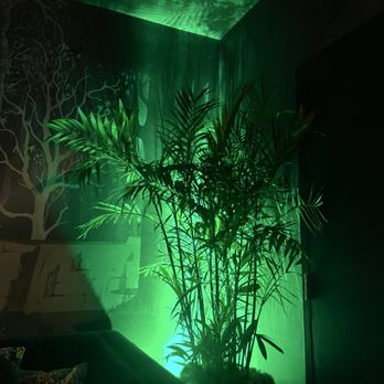 Broken Spell Lounge - Lounges Near Me - Anaheim, California