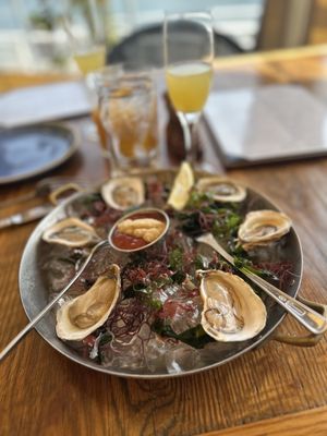 Cannery Seafood of the Pacific by null