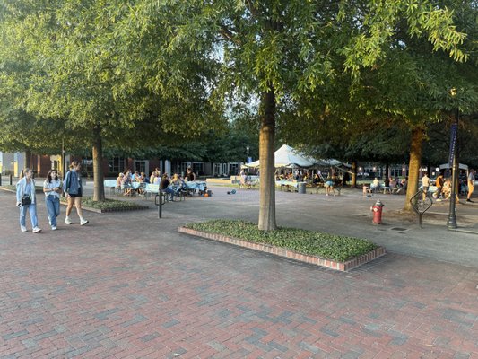 Bierkeller Brewing Company by null