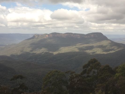 Blue Mountains National Park by null