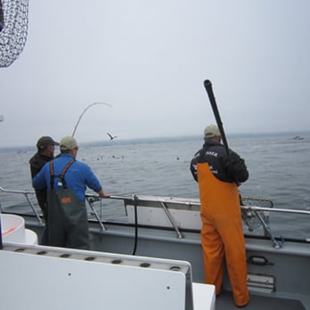 Blue Runner Sportfishing - Fishing Near Me - Sausalito, California