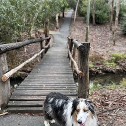 Lake Forest Park