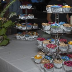 Nom Nom Cakes