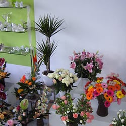 Blumen Stuppi