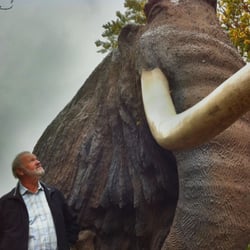 Südostbayerisches Naturkunde- und Mammut-Museum