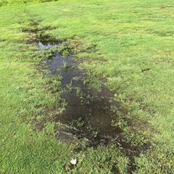 Brookline Golf Club at Putterham - As I said it did not raid the day before or even a few days before