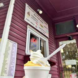 Faouzi's Talk of The Town - Large mango gelato
