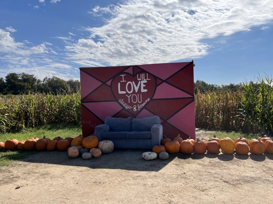 Sweet Eats Adventure Farm & Petting Zoo by null