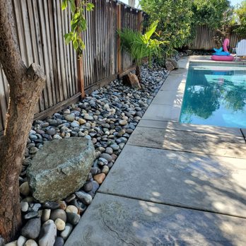 Authentic Landscape - Rocks and windmill palm - Landscaping Near Me - Sacramento, California Authentic Landscape - Rocks and windmill palm - Landscaping Near Me - Sacramento, California