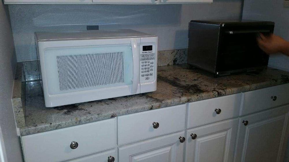 DUNEDIN FLOORS & GRANITE Updated September 2024 32 Photos 1277