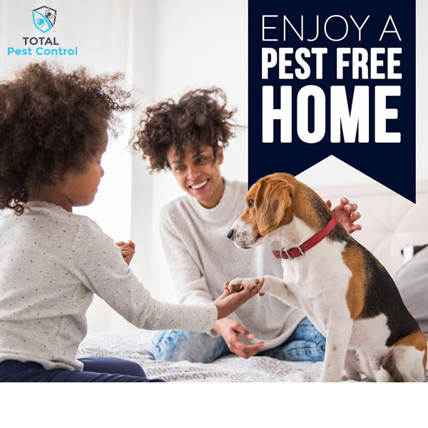 TOTAL PEST CONTROL Updated October 2024 3925 E Sussex Way, Fresno