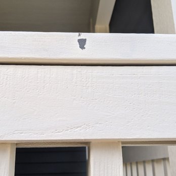 Adonis Painting - Painters Near Me - Tacoma, Washington Adonis Painting - Painters Near Me - Tacoma, Washington