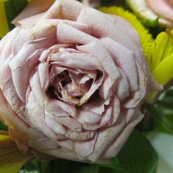 Hansen's Florist - Florists Near Me - Seattle, Washington Hansen's Florist - Florists Near Me - Seattle, Washington