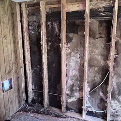 Swan Lake Builders - Rotted studs and underlayment.