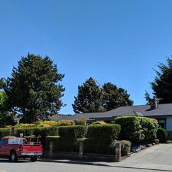 Bigfoot Country Lawn Care Plus - Hedge & Shrub Trimming