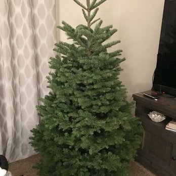 Moon Valley Nurseries - Christmas 2017 - Tree Services Near Me - Chino, California Moon Valley Nurseries - Christmas 2017 - Tree Services Near Me - Chino, California