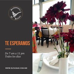 El Faisan - El Faisán, Cuernvaca