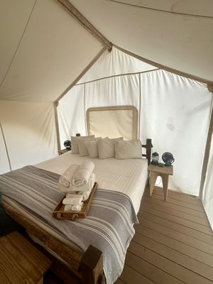 Under Canvas Grand Canyon by null
