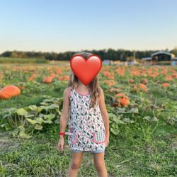 Sunset Valley Farms - Pumpkin patch