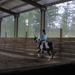 Signature West Farms - Indoor arena