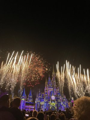 Cinderella Castle by null