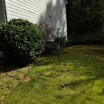 Sarge's Landscaping Services - Landscaping Near Me - Kennesaw, Georgia Sarge's Landscaping Services - Landscaping Near Me - Kennesaw, Georgia
