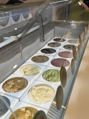 Van Leeuwen Ice Cream by null