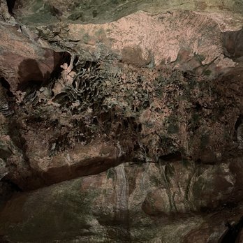 Linville Caverns - Landmarks & Historical Buildings Near Me - Marion, North Carolina