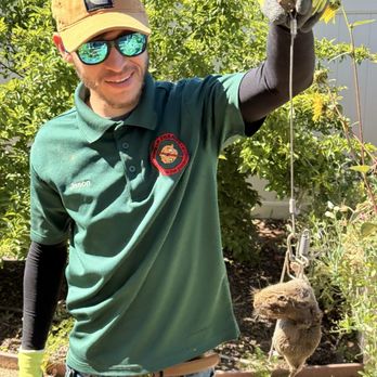 Gopher Stop - Jason with the big gopher tearing up our yard. Caught in less than 48 hours! - Pest Control Near Me