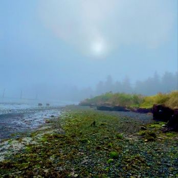 Bay Point Landing - Campgrounds Near Me - Coos Bay, Oregon