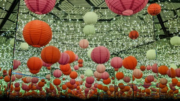 Museum of Illusions Chicago by null