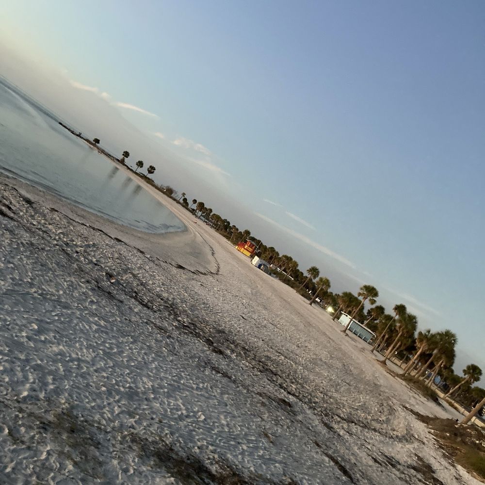 Fred Howard Park - The Island Beach - Parks Near Me - Tarpon Springs, Florida Fred Howard Park - The Island Beach - Parks Near Me - Tarpon Springs, Florida